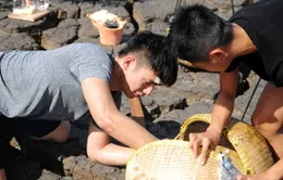 Cuộc đua kỳ thú: Pha Lê dừng cuộc chơi?
